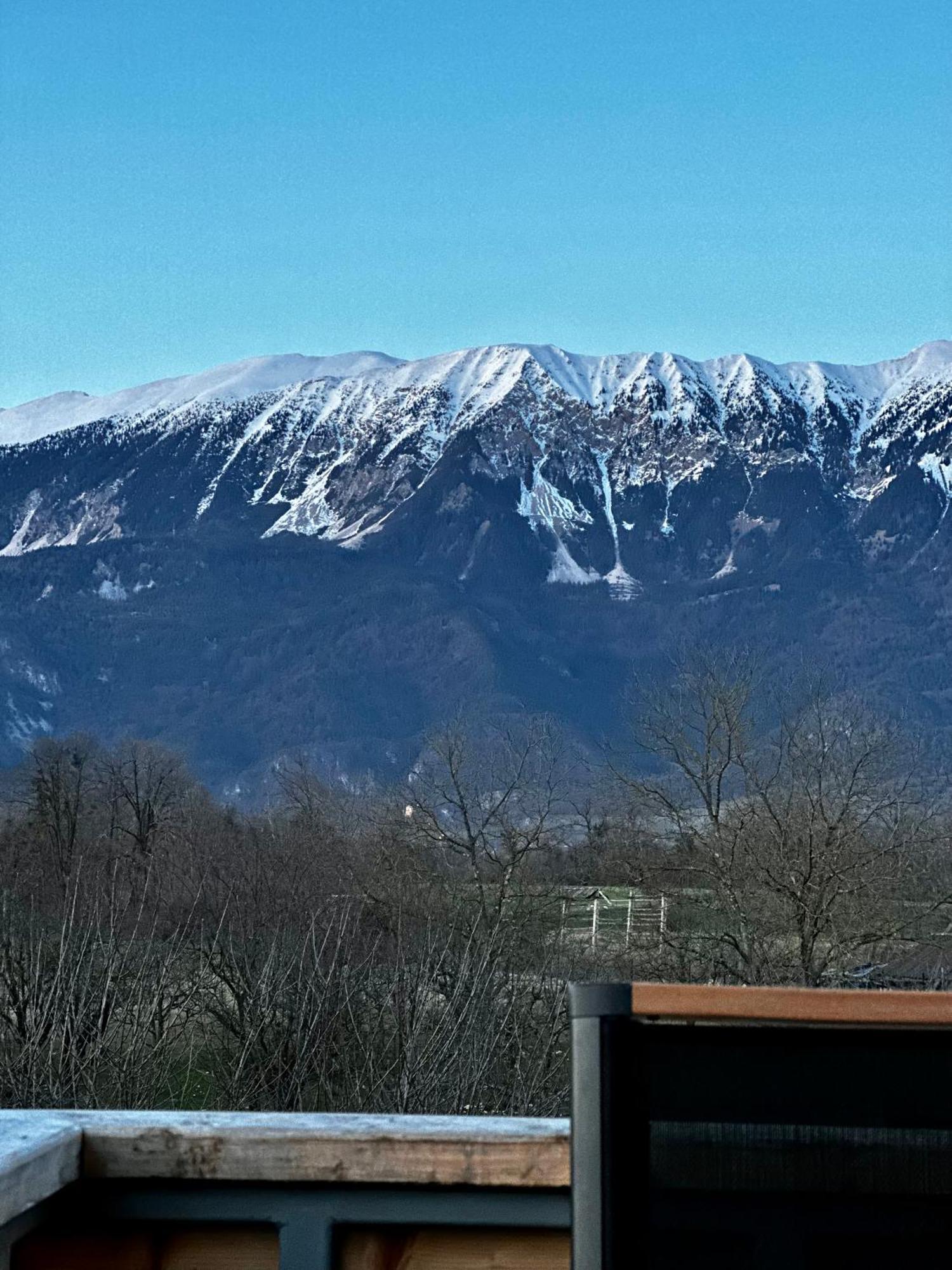 Cassa Bella Bled Daire Dış mekan fotoğraf